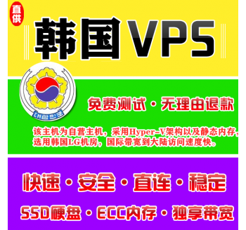 韩国VPS机房4096M国外，搜索引擎优化seo公司